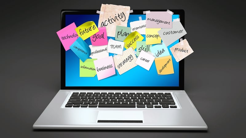 Skill Development Plans